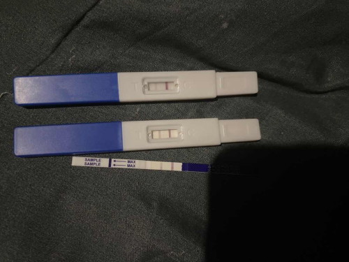 ขึ้นแบบนี้ไม่แน่ใจว่าท้องชัวร์ไหมค่ะ
ปจดไม่มา2เดือน แต่ไม่มีอาการอะไรเลยค่ะ