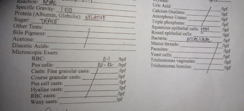 Ano po ibig sabihin nito? Sana po may makasagot