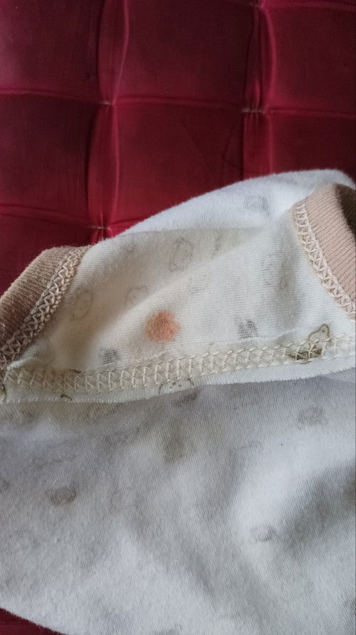 Pipis bercak warna orange