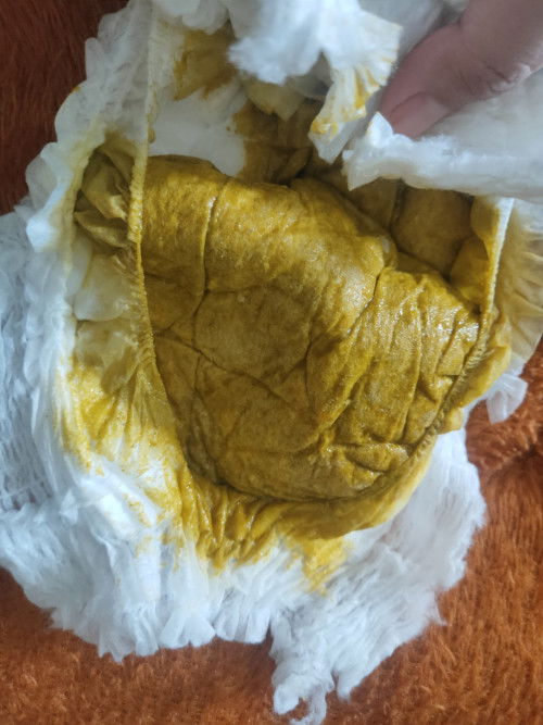 Pup bayi setelah bayi Mpasi