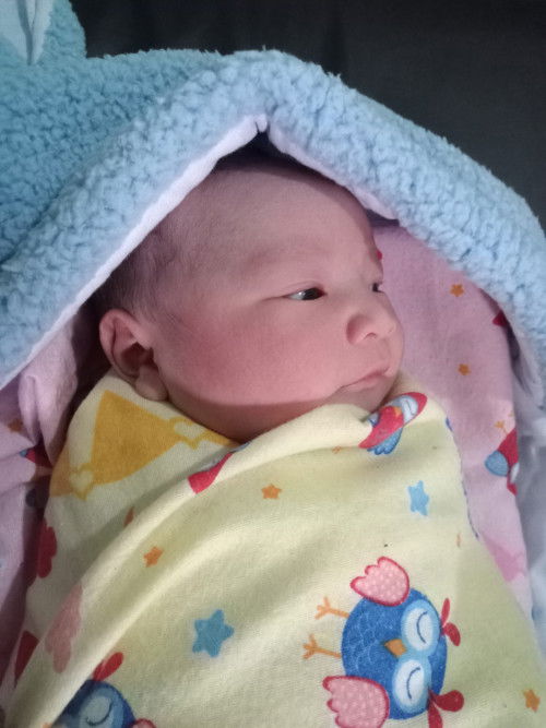 HPL 22 NOVEMBER 2023