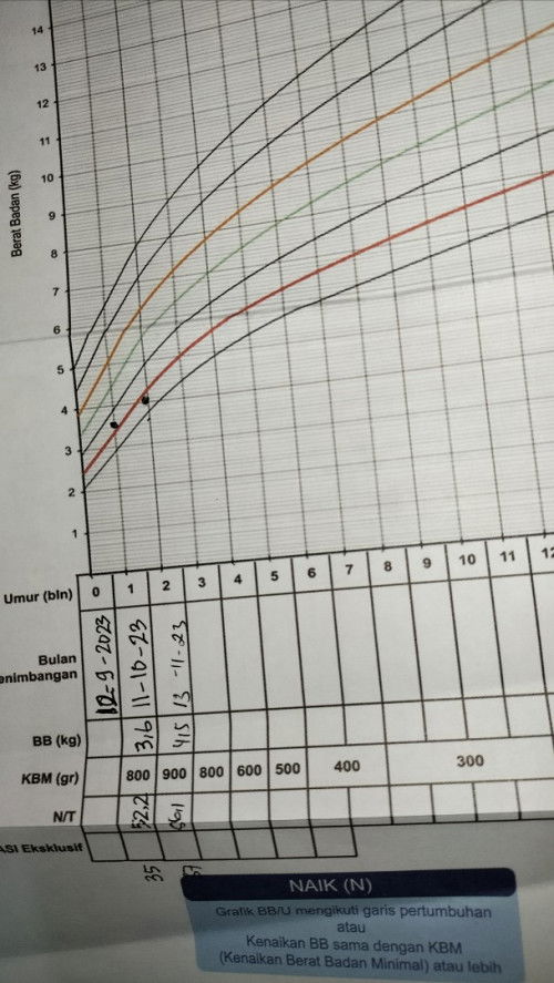 Bayi laki-laki usia 2 bulan. Bb 4,5 Tb 56,1 Lk 37. Itu masih dibawah garis merah