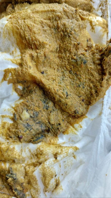 Najis anak ada cacing tapi hitam mcm benang