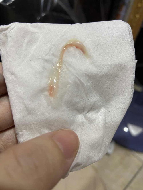 Hai tumpang tanya 🙏