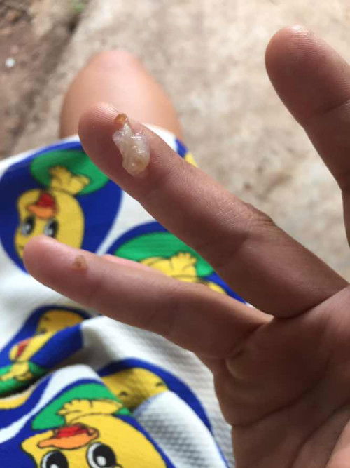 สอบถามแม่ๆน่อยค่ะ