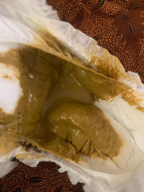 Bab susah warna coklat