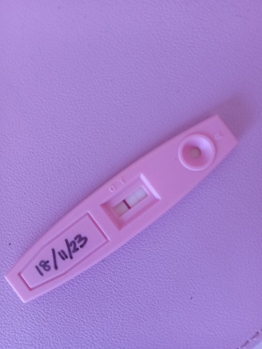 Nak tanya kepastian yang dah ada pengalaman. saya masih baru. delay 6day already period .