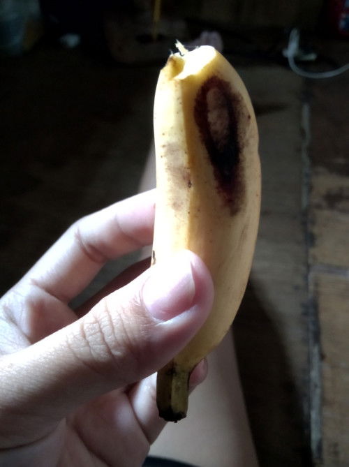 Nakakatigas poba Ito Ng poop?