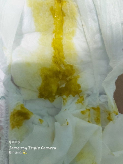 Pup bayi full asi 2 bulan