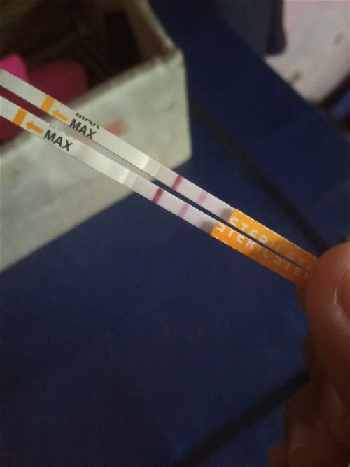 6w masih kantung, normal ga?