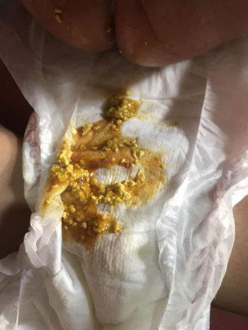 ลูกเปนซาง