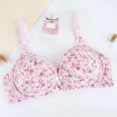 Bra ni very recommended