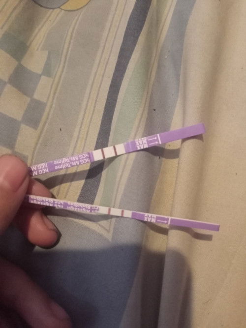 Lupa hpht kapan tapi di tespek udah jelas bngt