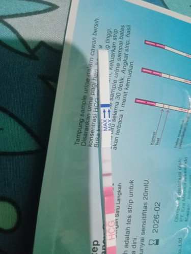 Mau tanyak bun, biasanya klo mau UsG trimester 1 biasanya brapa week bun nampak kantong nya bunda??☺