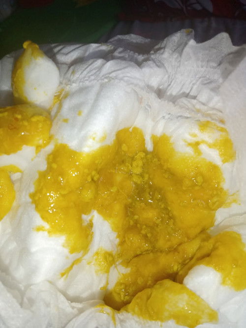 Pup anak ada lendir darah padahal tidak encer