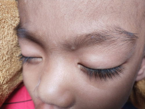 ขนตาลูกยาวจนทิ้มตา