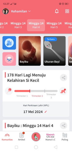 ada yg hamil 15minggu? udah ngerasain apa diperut bun? udah rasain kedutan ga bun?