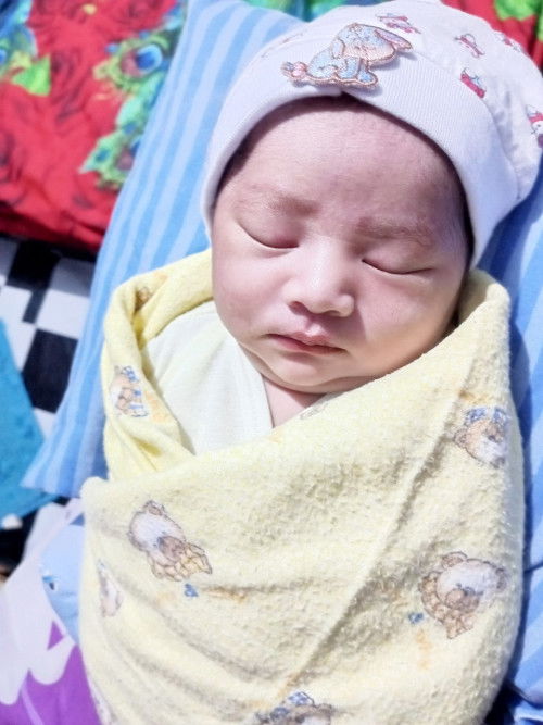 Hpl 22 nov launching 20 nov