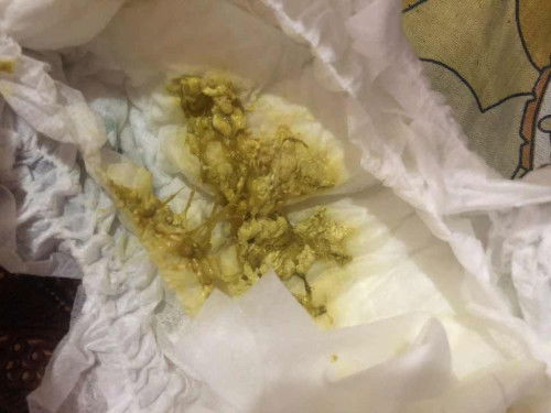 BAB BAYI 1 BULAN 24 HARI