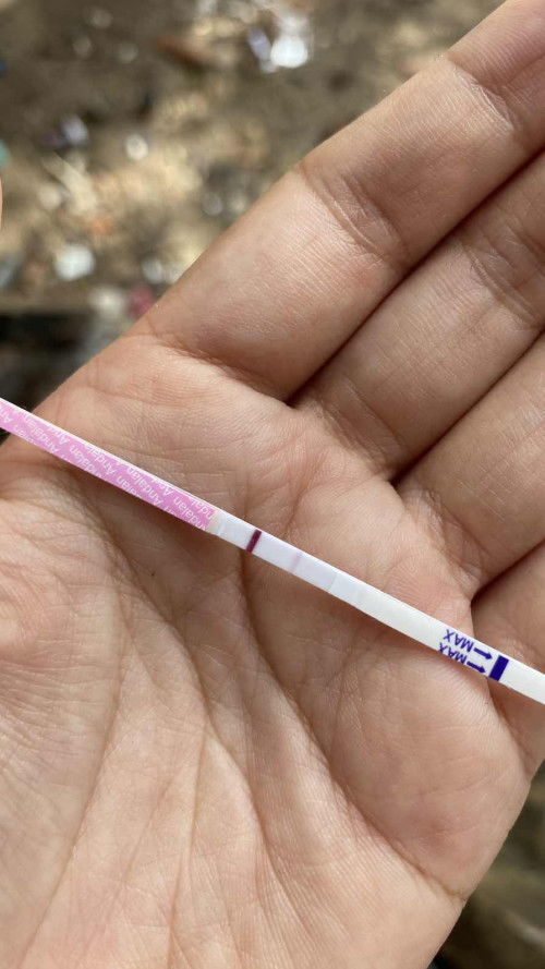 belum telat mens tapi garis samar