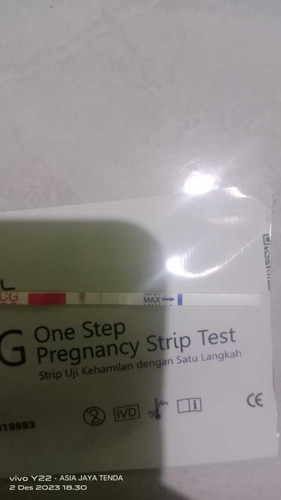Dok saya mau nanya ini hasil nya positif kah? Saya terakhir haid bulan 10..