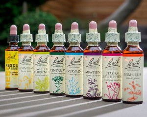 Bach Flower Remedies