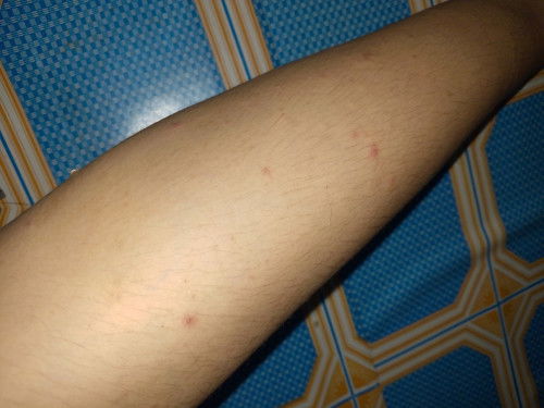 Serius nanya bun🙏