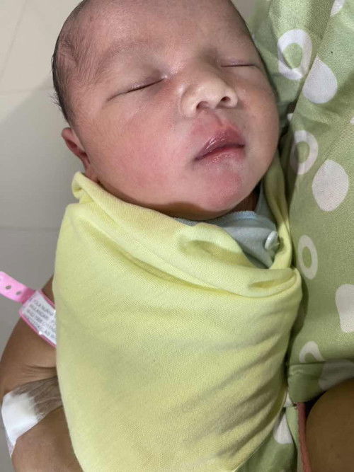 HPL 17 Desember Launching 02 Desember