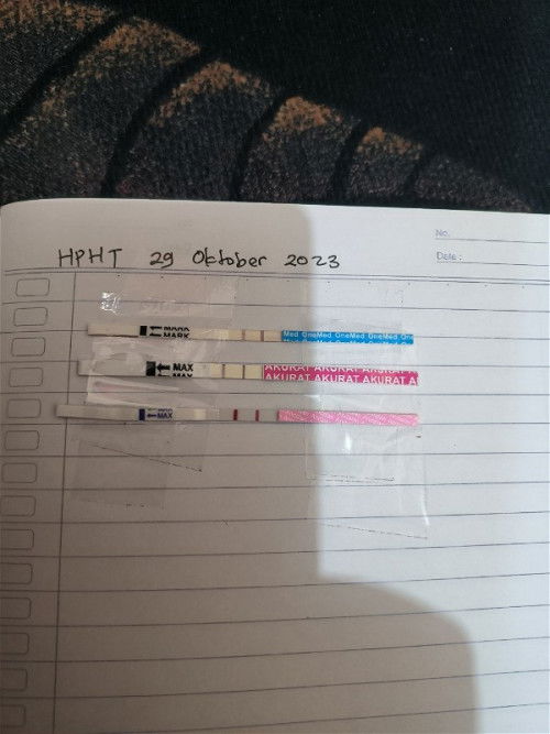 Promil, tapi lebih fokus ke kesuburan suami