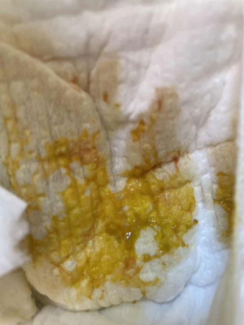 Tolong saran dan masukannya