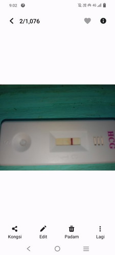 Test hcg