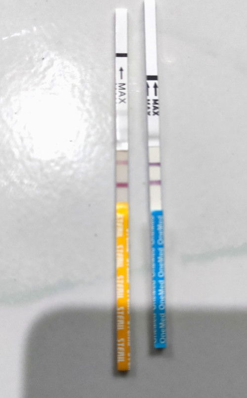 Tespack hamil 11 minggu