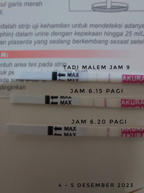 Hasil Test Pack Positif