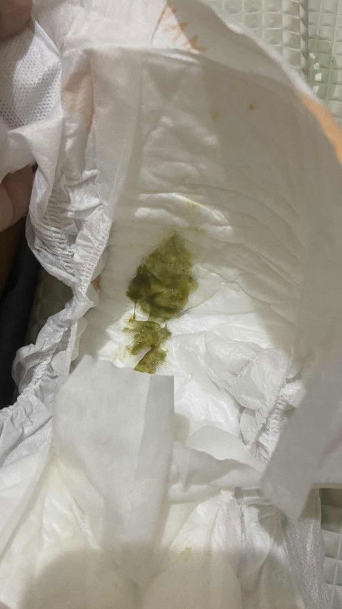 pup hijau bayi umur 1 bulan 20 hari