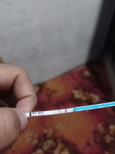 Kak mau tanya ga ngerasain gejala hamil tapi telat 4 hari haid tespeck garis 2 itu apakah + hamil?