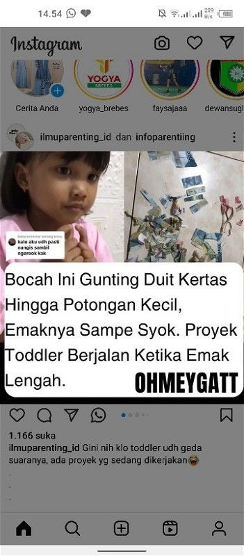 Proyek Toodler bunda