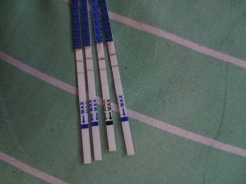 แบบนี้เรียกว่าไข่ตกหรือยัง