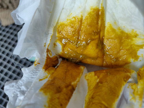 Pup bayi seperti berlendir dan kuning kecokelatan