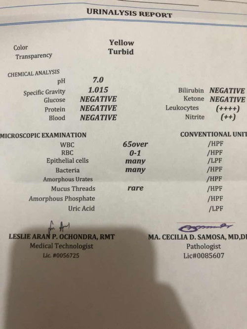 Urinalysis Report