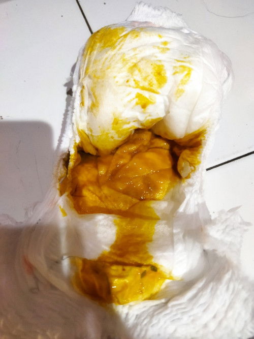 Bab bayi 4 bulan 15 hari