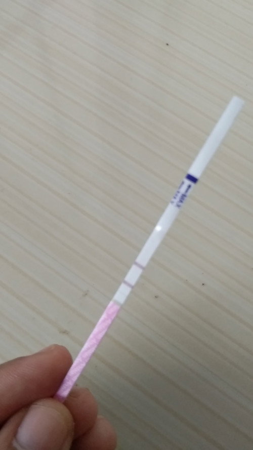 Hamil saat usia anak baru satu tahun dan masih aktif menyusui