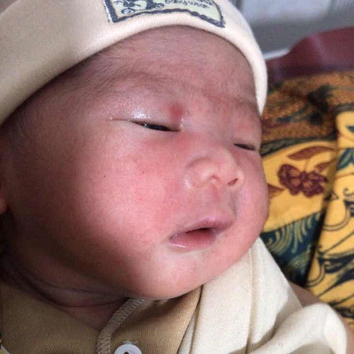 Pejuang gelombang cinta