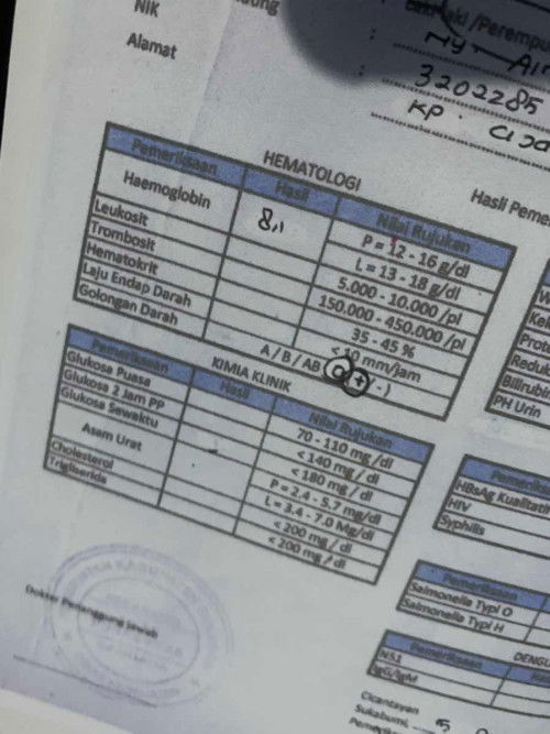 Mohon saran nya bunda bunda