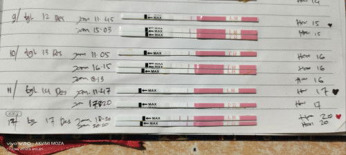 Perihal masa subur lAgi