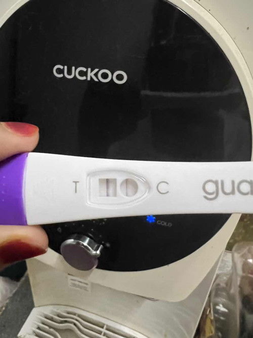 Adakah result opk tu menandakan hamil? Sebab lagi 3 hari nak period..