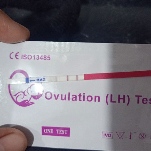 test ovulasi