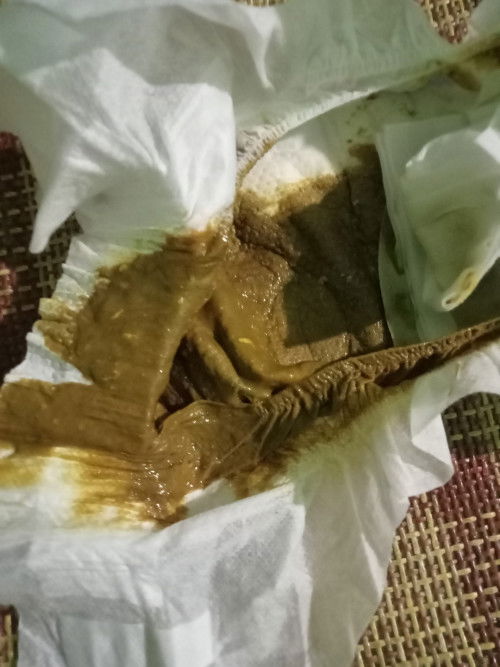 Có m nào cho em hỏi bé ỉa như này có sao không ạ