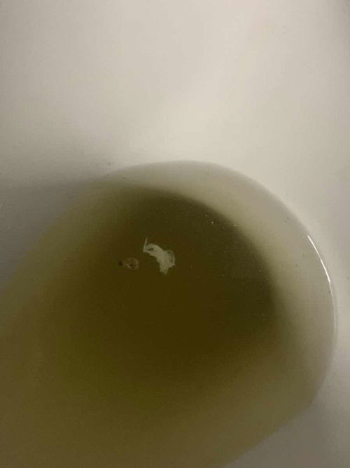 ขอบอภัยในรูปนะคะ