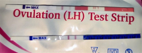 Opk positive