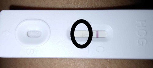Pregnant or not